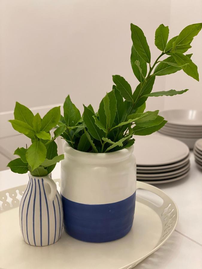 Moro Crikvenica 아파트 외부 사진
